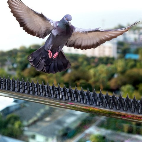 Kolce na ptaki czarne 10 szt. 50x4,5x2 cm