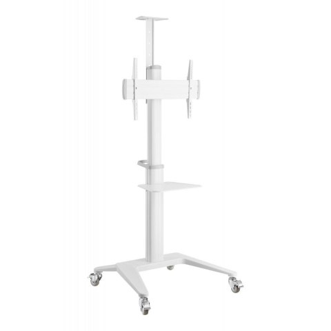 Stojak mobilny Techly 37''-70'', 70kg 2 półki Stojak mobilny Techly 37''-70'', 70kg 2 półki
