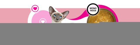 3Coty TURKEY Cheers! Complementary feed cats 160g