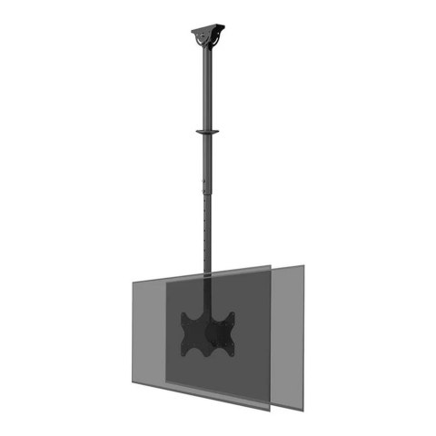 Uchwyt sufitowy na dwa monitory Neomounts CL35-340BL22 23"-42"