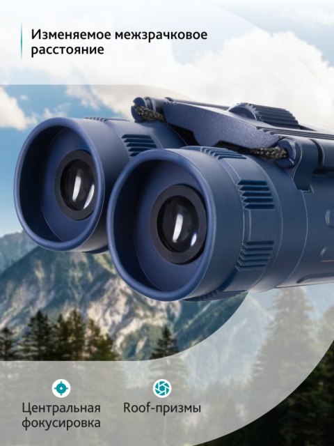 Lornetka Levenhuk Discovery Basics BB 10x25