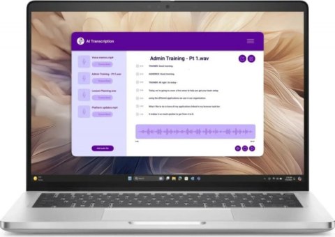 Notebook DELL BTO106_PB14250_EMEA (14"/16GB/SSD512GB/W11P/Srebrny)