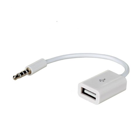 Kabel adapter Akyga AK-AD-24 USB 2.0 A(F) - mini Jack(M) Kabel adapter Akyga AK-AD-24 USB 2.0 A(F) - mini Jack(M)