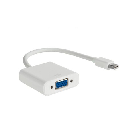Kabel adapter Akyga AK-AD-39 VGA F - mini DisplayPort M 0,15m biały Kabel adapter Akyga AK-AD-39 VGA F - mini DisplayPort M 0,15m biały