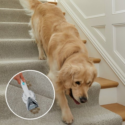 Shark ODKURZACZ PX200EUT