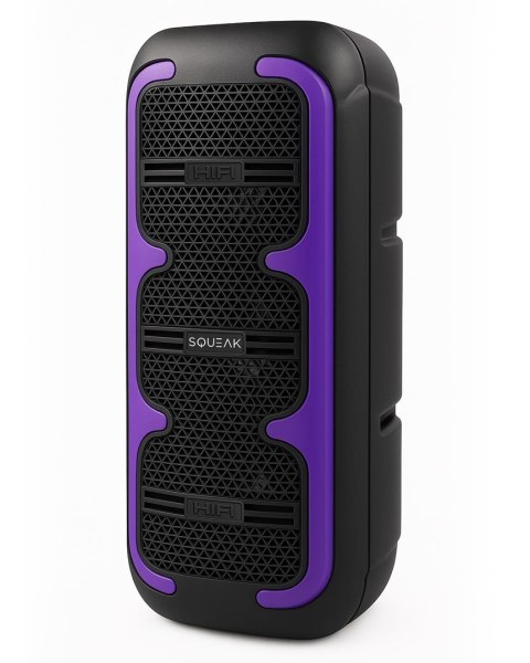 SQUEAK GŁOŚNIK KARAOKE BEATONE BLUETOOTH 5.3, 45W RADIO FM, MICROSD, AUX, USB, USB-C SQ1009