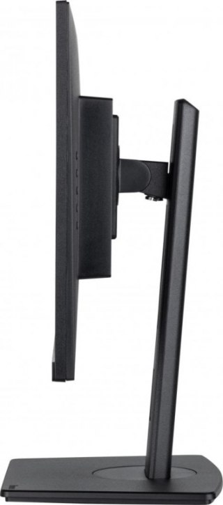 Monitor IIYAMA 4948570123179 (23.8" /IPS /100Hz /2560 x 1440 /Czarny)