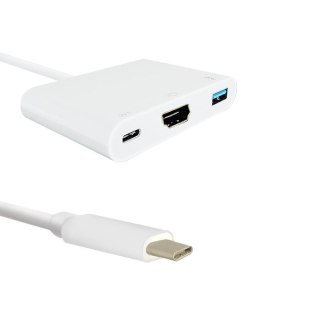Kabel USB Qoltec 3.1 typCM / HDMI AF+USB AF+USB C