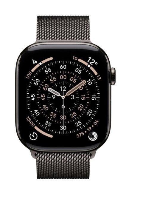 MF8U4MP/A APPLE Watch OS Łupkowy