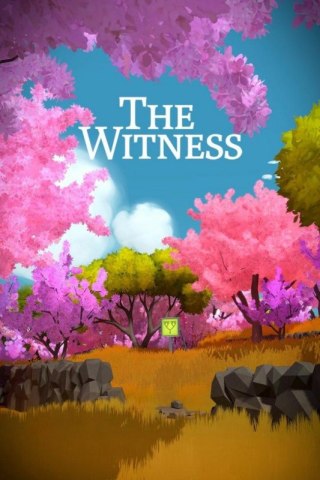 MS ESD C2C X360 The Witness