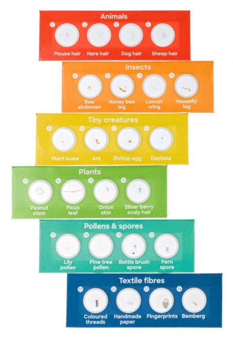 (PL) Mikroskop Levenhuk Discovery Centi 01 z książką