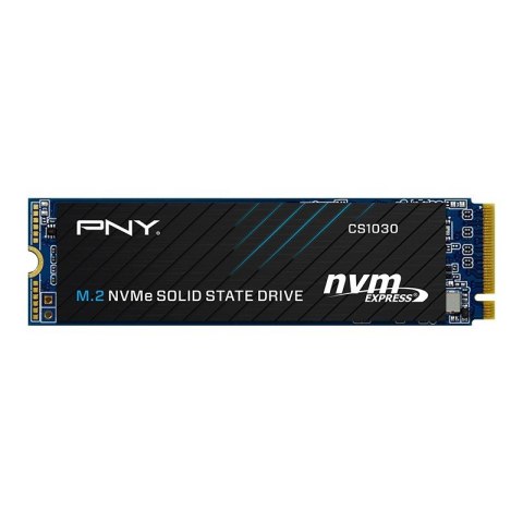 Dysk SSD PNY M280CS1030-250-RB (M.2 2280″ /250 GB )