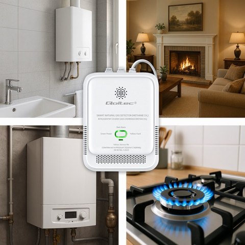 Qoltec Certyfikowany Czujnik wycieku gazu ziemnego | detektor CH4 | NG | alarm 85dB | LED