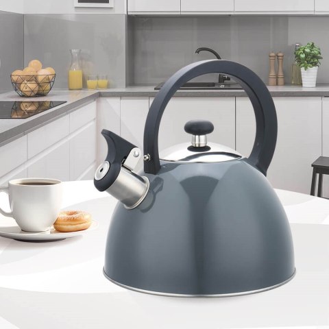 Czajnik 2,5L MR-1302-GREY MAESTRO