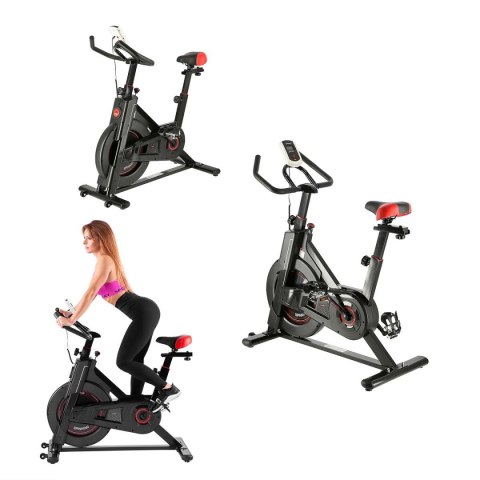 SWL9140 ROWER STACJONARNY SPINNINGOWY Z OPOREM MECHANICZNYM HMS