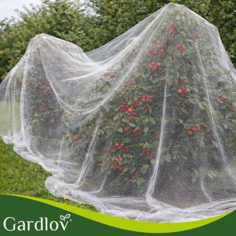 Siatka ochronna na grządkę 3x6m Gardlov