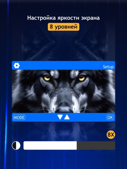 Cyfrowa lornetka noktowizyjna Levenhuk Halo 30XN