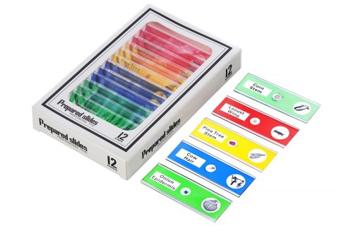 Mikroskop cyfrowy Levenhuk LabZZ DM200 LCD
