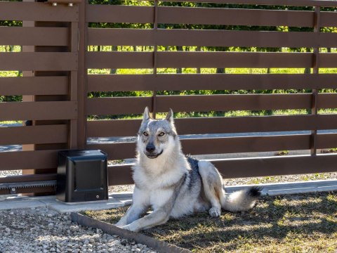Zestaw Beninca KWOLF624.P2 24V do 600kg bram przesuwnych