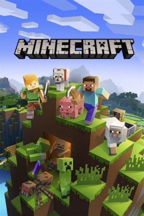 Gra ESD Minecraft XXS ML