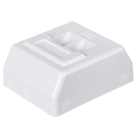 Gniazdo natynkowe kompletne Netrack 2xRJ45 8p8c UTP Cat5e LSA Gniazdo natynkowe kompletne Netrack 2xRJ45 8p8c UTP Cat5e LSA