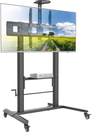 MANHATTAN Stojak mobilny TV 52-110" 120kg płynna regulacja wysokości 364491
