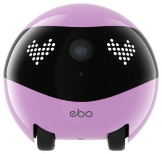 Robot towarzyszący ENABOT WH287322P