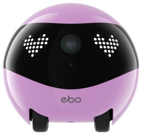 Robot towarzyszący ENABOT WH287322P