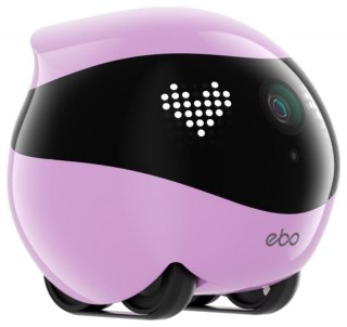 Robot towarzyszący ENABOT WH287322P