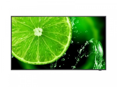 Monitor NEC 60006113 (32" /TFT IPS /60Hz /1920 x 1080 /Czarny )
