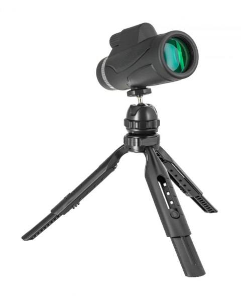 Monokular Levenhuk New Wise PLUS 10x42