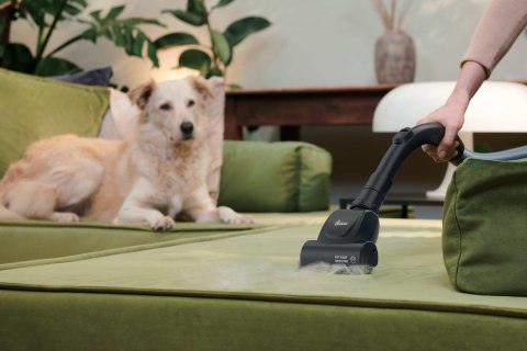 Odkurzacz Hoover HE120PET 011 7809079 2,5L Cylinder próżniowy Suchy 700W Worek na kurz (OUTLET)