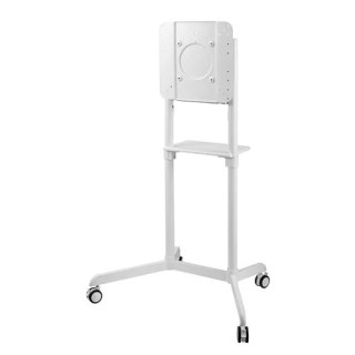 Uchwyt do TV NEOMOUNTS BY NEWSTAR NS-M1250WHITE (nośność 70kg /37 - 70 cali)