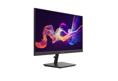 Monitor Hikvision DS-D5024F2-AP2
