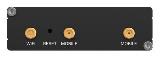 Teltonika RUT202 Router sieci komórkowej