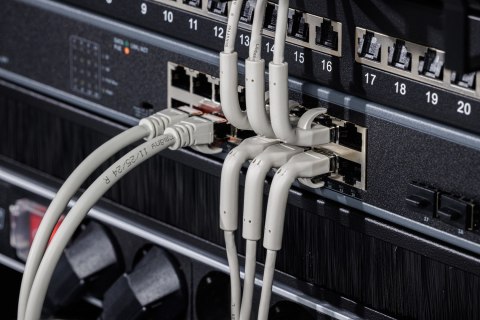 Digitus Kabel krosowy kątowy CAT 6A F-FTP, miedź, 0,5 m, szary, 10 szt.