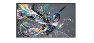 Philips 50BDL3511Q/00 signage display Cyfrowa tablica A 127 cm (50") 500 cd/m2 4K Ultra HD Czarny 18/7