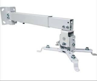 TECHLY Uchwyt do projektora 43-65 cm sufitowy ścienny regulowany SL ICA-PM 16