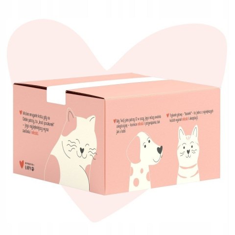 ANIMAL ISLAND Love Box Filety w rosole mix smaków 48szt + zabawka