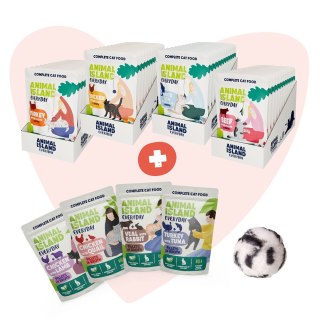 ANIMAL ISLAND Love Box Rosół mix smaków 48szt + zabawka