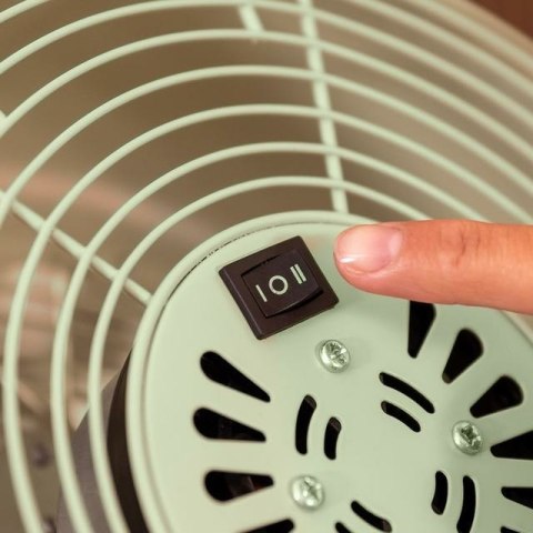Wentylator Cecotec EnergySilence 250 ClassicStyle Green