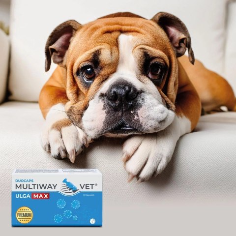 JM SANTE MULTIWAY DUOCAPS ULGA MAX na stres , przeciwbólowy