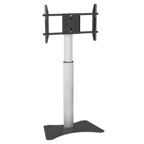 Stojak podłogowy Techly 32"-70", 40kg regulowany Stojak podłogowy Techly 32"-70", 40kg regulowany
