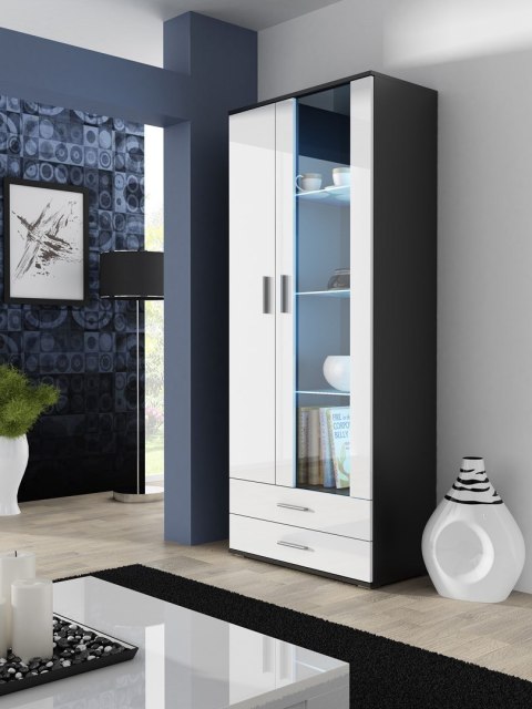 Witryna SOHO S6 2D2S czarny/ biały połysk Witryna SOHO S6 2D2S czarny/ biały połysk