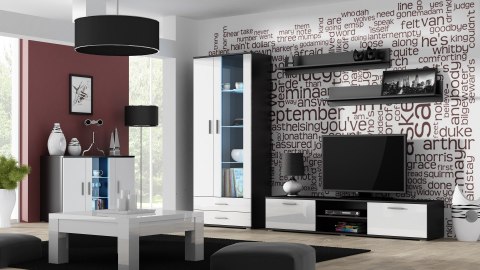 Witryna SOHO S6 2D2S czarny/ biały połysk Witryna SOHO S6 2D2S czarny/ biały połysk