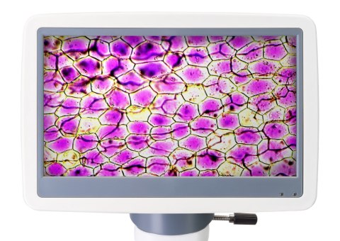 Mikroskop cyfrowy Levenhuk D85L LCD Mikroskop cyfrowy Levenhuk D85L LCD