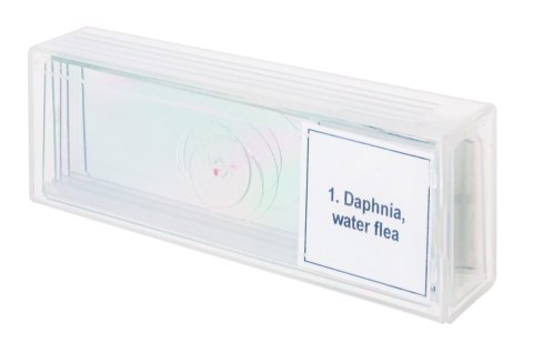 Zestaw mikropreparatów Discovery Prof DPS 5. „Życie w kropli wody" Zestaw mikropreparatów Discovery Prof DPS 5. „Życie w kropli wody"