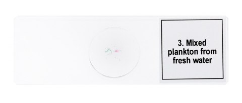 Zestaw mikropreparatów Discovery Prof DPS 5. „Życie w kropli wody" Zestaw mikropreparatów Discovery Prof DPS 5. „Życie w kropli wody"