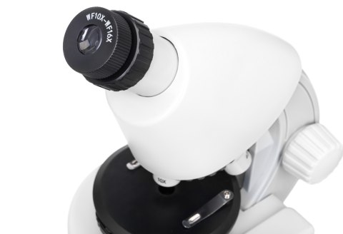 (ES) Mikroskop Discovery Micro Polar z książką