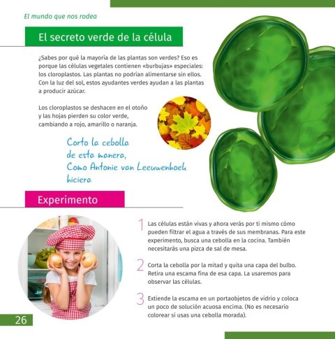 (ES) Mikroskop Discovery Micro Solar z książką